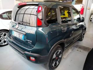 FIAT Panda Cross usata, con Controllo trazione
