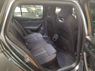 SKODA Octavia usata, con Fendinebbia