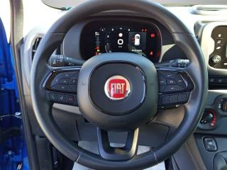 FIAT Panda usata, con Airbag testa