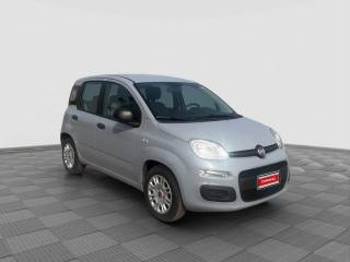 FIAT Panda usata 7