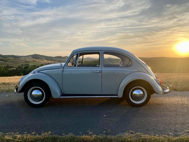 VOLKSWAGEN Maggiolino usata 9