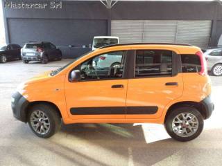 FIAT Panda usata, con Fendinebbia