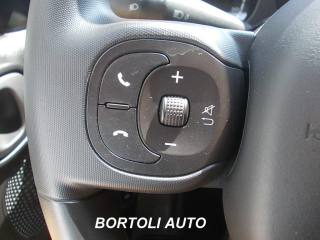 FIAT Panda usata, con Controllo vocale