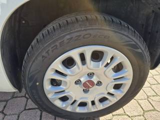 FIAT Panda usata 24