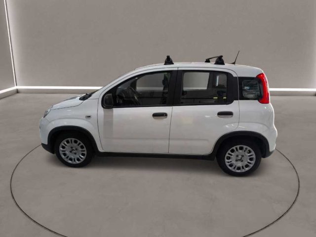 FIAT Panda usata, con Antifurto