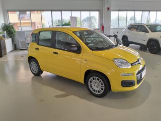 FIAT Panda usata, con Airbag Passeggero