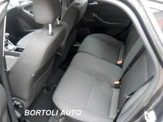 FORD Focus usata, con Climatizzatore