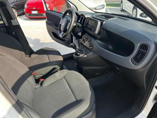 FIAT Panda usata 22