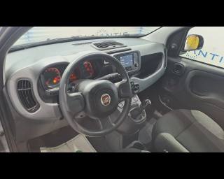 FIAT New Panda usata, con Controllo automatico clima