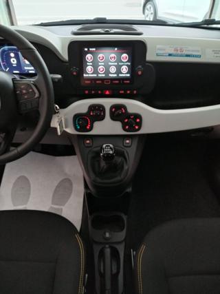 FIAT Panda usata, con Fendinebbia
