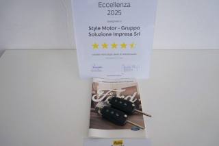 FORD Fiesta usata 59