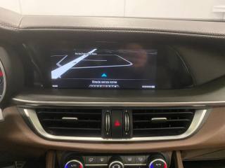 ALFA ROMEO Stelvio usata, con Filtro antiparticolato