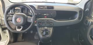 FIAT Panda usata, con Controllo trazione