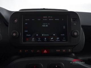 FIAT Panda usata 13