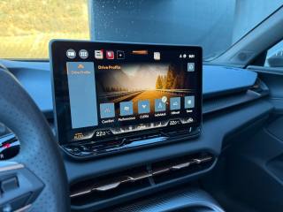 CUPRA Terramar usata, con ESP