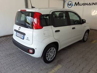 FIAT Panda usata, con Servosterzo