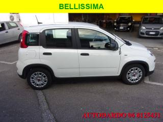 FIAT Panda usata, con Airbag Passeggero