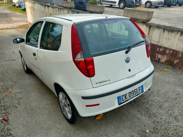 FIAT Punto usata 12