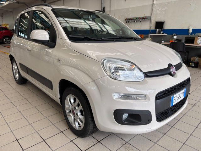 FIAT Panda usata 2