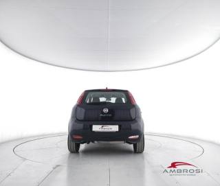 FIAT Punto usata 5