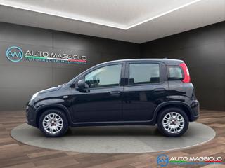 FIAT Panda usata, con Chiusura centralizzata