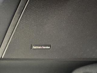 LAND ROVER Range Rover Sport usata, con Chiusura centralizzata
