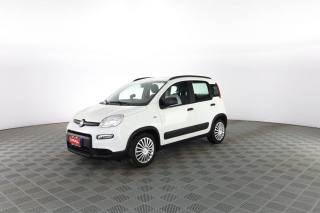 FIAT Panda usata 6