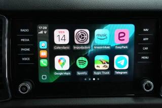 SKODA Kodiaq usata 18