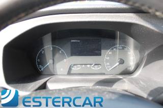 FORD Transit usata 15