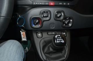 FIAT Panda Cross usata, con Immobilizzatore elettronico