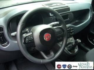 FIAT Panda usata, con Sensori di parcheggio posteriori