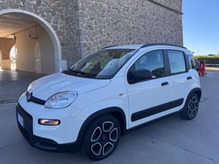 FIAT Panda usata 28