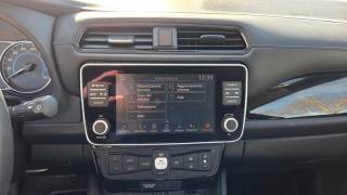 NISSAN Leaf usata, con Autoradio digitale