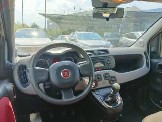 FIAT Panda usata, con Boardcomputer