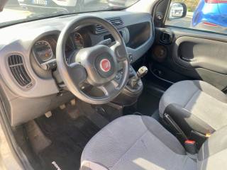FIAT Panda usata 13