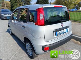 FIAT Panda usata 14