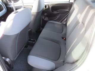 FIAT Panda usata, con Cronologia tagliandi