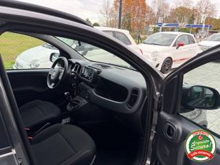 FIAT Panda usata, con USB