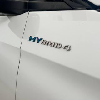 PEUGEOT 3008 usata, con Sensore di pioggia