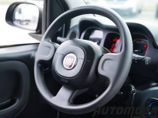 FIAT Panda usata 12