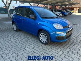 FIAT Panda usata, con Airbag