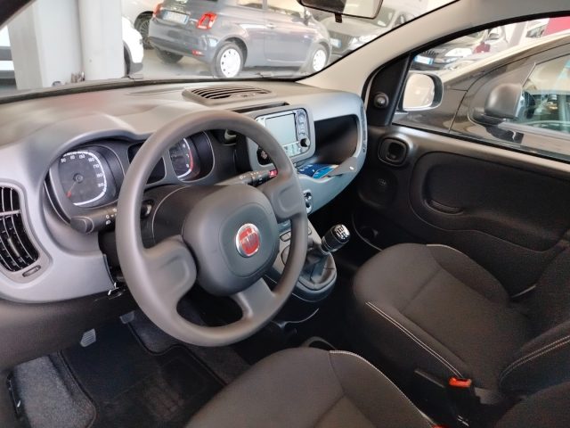 FIAT Panda usata 15