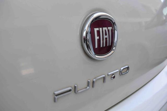 FIAT Punto usata 19