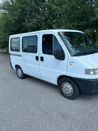 FIAT Ducato usata 2