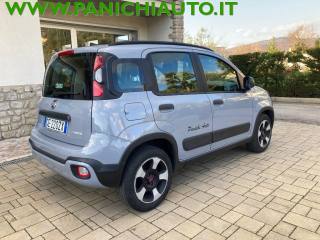 FIAT Panda Cross usata, con Alzacristalli elettrici
