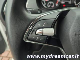 SKODA Fabia usata 25