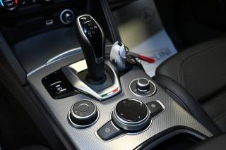 ALFA ROMEO Stelvio usata 52