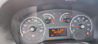 FIAT Qubo usata, con Sedile posteriore sdoppiato