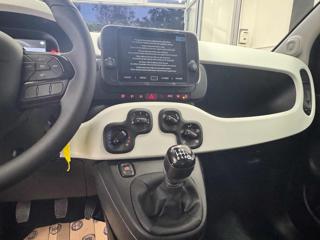 FIAT Panda usata, con Cruise Control