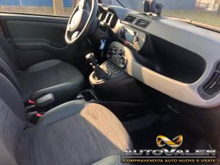 FIAT Panda usata, con Controllo trazione
